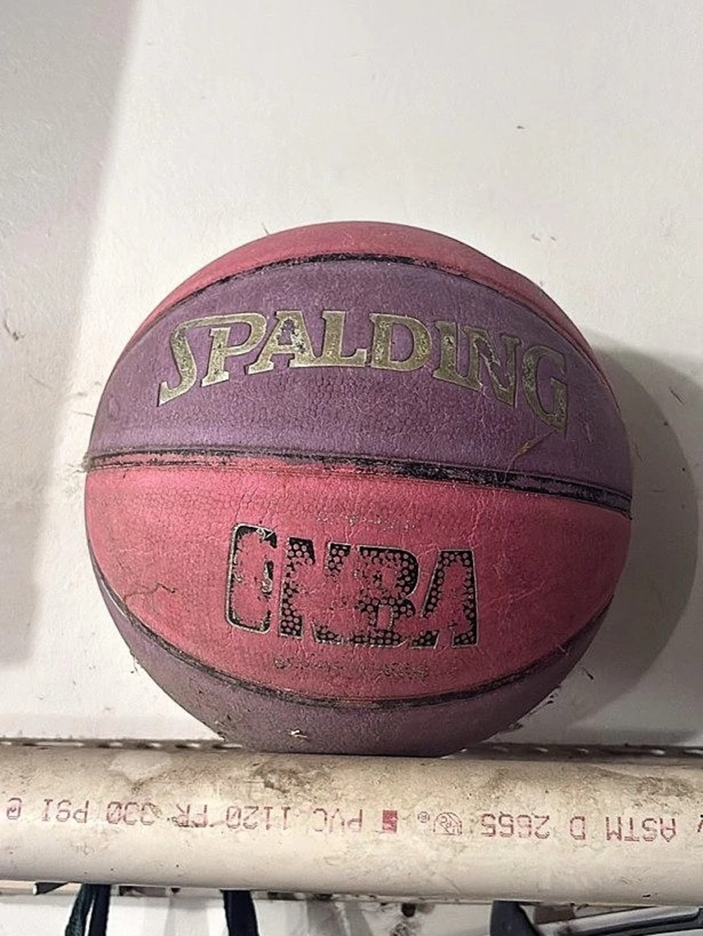 Spalding NBA Street Outdoor Basketball Pink and Purple & Purple